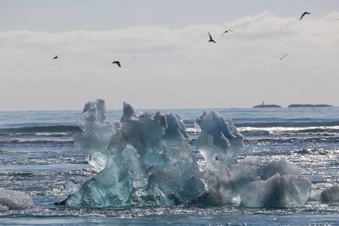 Little icebergs and crushed ice on the black beach at Joekulsarlon glacial lake