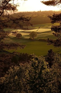 Landscape in the Black Forest, evening in May, Baden-Württemberg, Germany