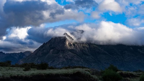 Rocky mountain peak covered in clouds, wooded flanks and grassland in the foreground, Andes,