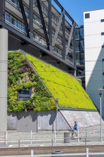 Green wall, façade of a building on Franziusstraße in the media harbor in Düsseldorf, North