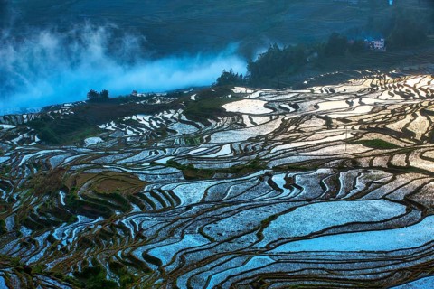 Celestial Stairs — The Yuanyang Rice Terraces in Yunnan, China, carved by the Hani people over 1,