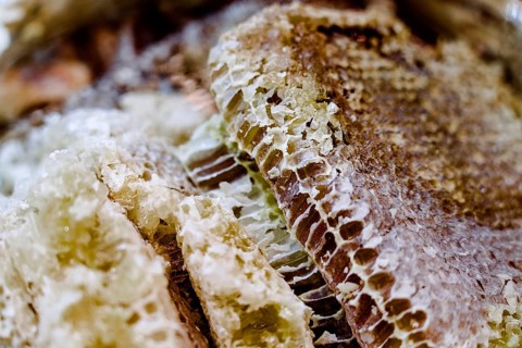 Close up image of a natural honeycomb showcasing intricate textures and patterns. The honeycomb