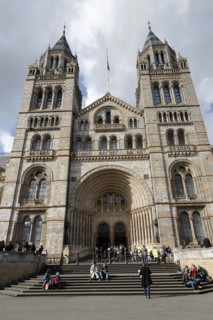 Natural History museum, London