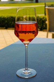 Froben Restaurant am Schloss, restaurant, gastronomy, drinking, wine glass, rose, wine, garden
