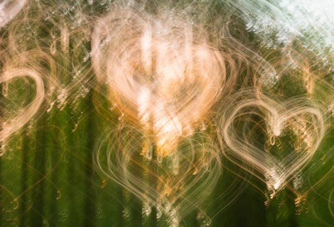 Abstract deciduous forest in spring, copper beeches (Fagus sylvatica) in May, heart-shaped wiping