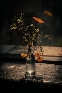Yellow flowers in a glass bottle on a windowsill, illuminated by sunlight