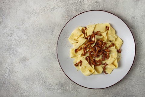Pasta papardelle, in creamy garlic sauce, with mushrooms, traditional Italian cuisine, pasta