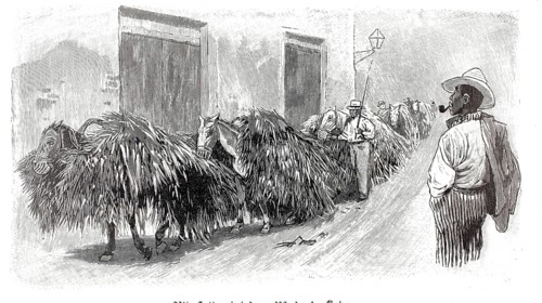 Horses loaded with food in Habana around 1890, Havana, Cuba, illustration, reproduction from a