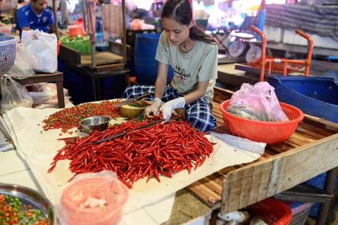 Bangkok, Thailand. February 19th 2025. A Thai woman preparing fresh red chilli peppers at the