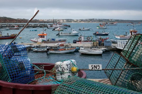 Sagres, Algarve, Portugal - Fishing boats in the fishing harbour of Sagres