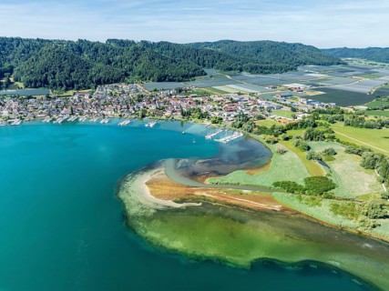 Aerial view of the mouth of the Stockacher Aach at low tide, which flows into Lake Überlingen. As a