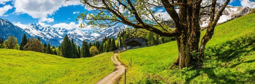 Berggasthof Hochleite, behind it the Allgäu Alps, Allgäu, Bavaria, Germany
