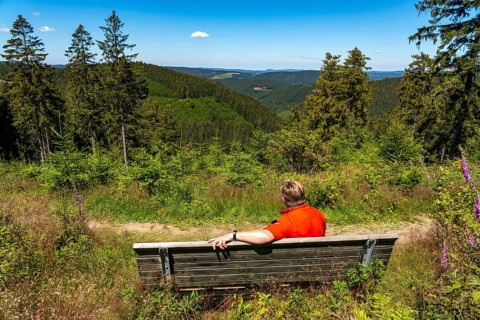 Hiking in the Sauerland, on the Rothaarsteig, here near Jagdhaus, a district of Schmallenberg North