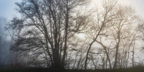 Sunrise, Upper Danube nature park Park, Swabian Alb, Baden-Württemberg, Germany
