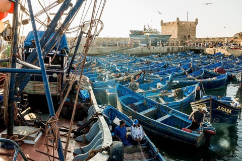 Fishing boats, fishing port, Essaouira, UNESCO World Heritage Site, Atlantic coast, Morocco