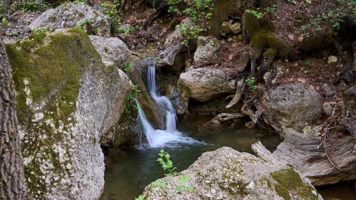 Small stream with waterfall, surrounded by moss-covered rocks, Butterfly Valley, Butterfly Valley,