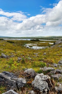 Karst landscape, lake on the horizon, Burren National Park, County Clare, Ireland
