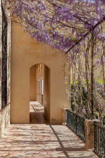 Alcázar, Seville, Andalusia, Spain