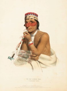 Wa-Em-Boesh-Kaa. A Chippeway Chief (1838), Native American, Historical Indian Tribes of North