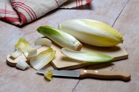 Chicory, chicory salad on wooden board with knife