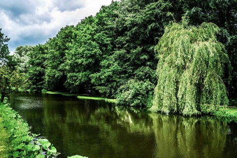 Walk along the Rotte, route from the modern city center to the green suburbs such as Hillegersberg