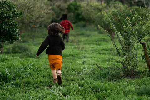 Two children run happily through a lush green field, surrounded by trees. Its playful energy and