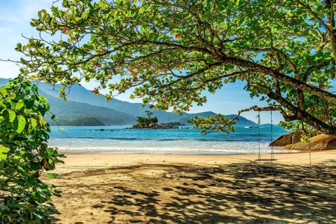 Swing hanging from a tree on the remote and deserted Bonete beach on the island of Ilhabela on the
