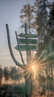 Rennsteig signpost on a snowy forest trail at sunset, sun shines in a star shape, surrounded by