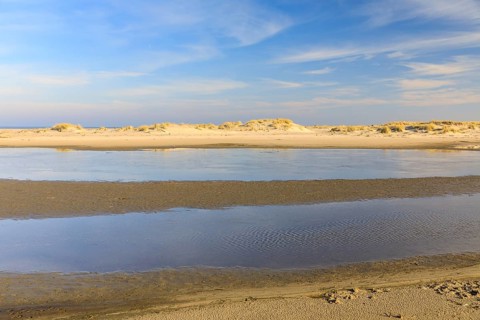 Groundwater forms small ponds in the dune landscape in Norderney, Lower Saxony, Germany