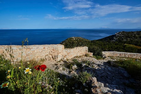View of the remains of a wall by the sea, surrounded by grass, flowers and wild plants under a blue