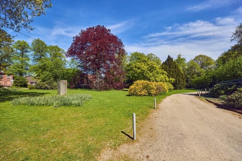 Park Villa von Eerde, park, lawn, bushes, trees, path, blue sky, cumulus clouds, cirrus clouds,
