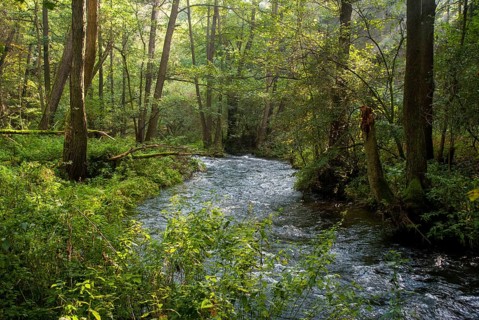 Germany, Greiz, Thuringia, Weidatal, stream, flowing water, river, landscape, river, river