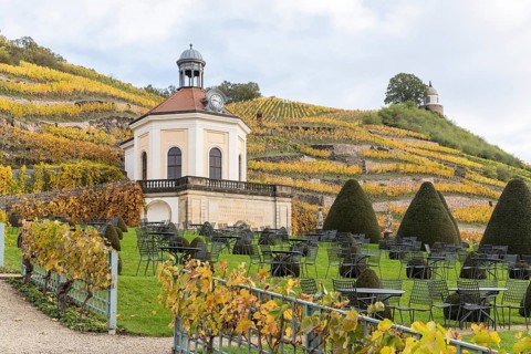 Belvedere of Wackerbarth Castle with Jacobstein and autumn-coloured vineyards, Radebeul, Saxony,