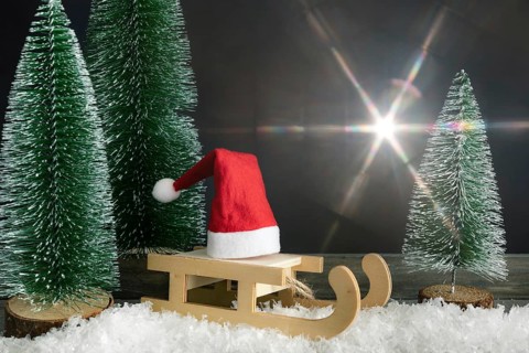 Christmas decoration, Santa Claus, sleigh, snow, Christmas trees, decoration, studio,
