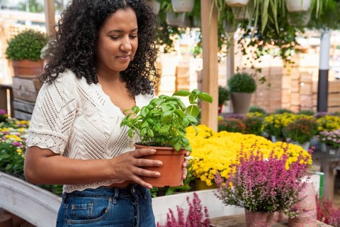 A happy woman with curly hair admires a potted basil plant while shopping in a vibrant garden