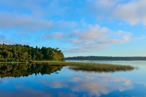 Calm lake with trees and clouds reflecting on the water surface, Lake Mahinapua, Ruatapu, South