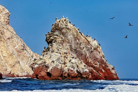 A rock full of birds rises steeply out of the sea under a clear, blue sky, The rocky coast of the