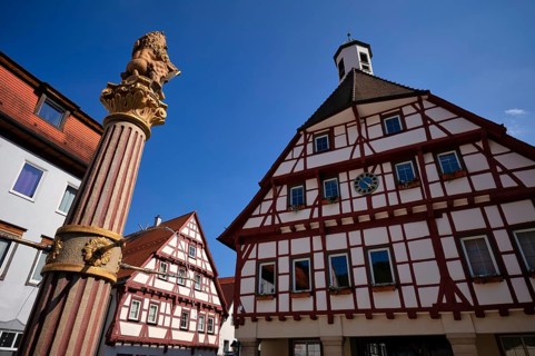 Market fountain, Württemberg lion with coat of arms, town hall, half-timbered houses, old town,