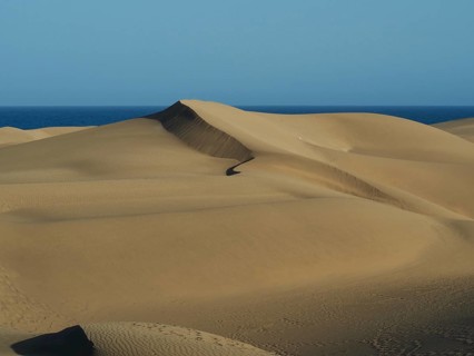 Wide sand dunes stretch to the blue sea under clear skies, dunes of Maspalomas, Gran Canaria, Spain