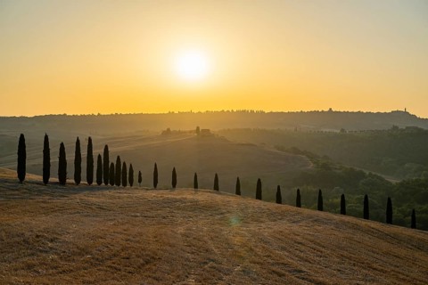 Typical Tuscan landscape in Val d'Orcia with hills, trees, fields, farmhouses and cypresses at