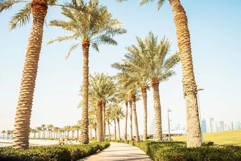 Doha, Qatar - 8th january, 2026: cinematic paved walkway MIA Park Doha. Tall palm trees, green