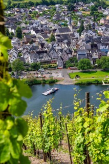 The wine town of Pünderich, in the district of Cochem-Zell, on the Moselle, view from the vineyards