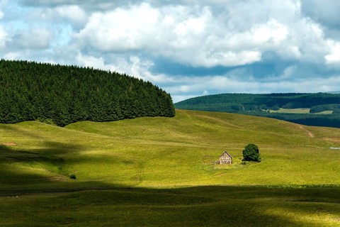 Farm in Cezallier massif, Regional Nature Park of Volcans d'Auvergne, Puy de Dome department,