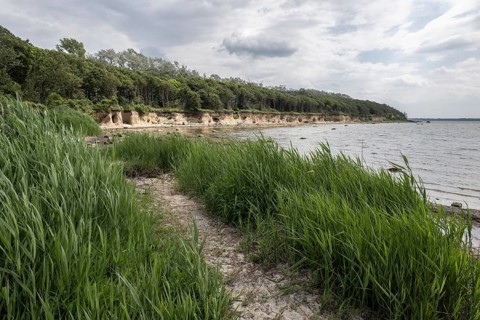 Steep coast, Poel Island, Mecklenburg-Western Pomerania, Germany
