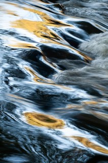 Atmosphere, autumn, detail, flowing water, river, autumn, high size, portrait, landscape, river,