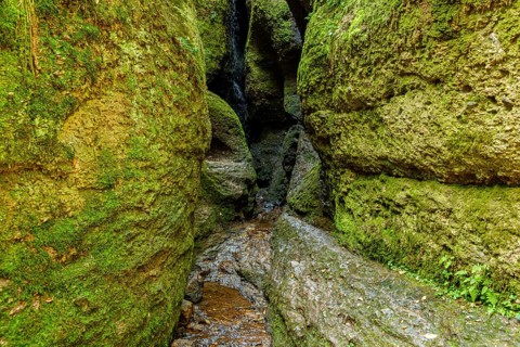 The Dragon Gorge, a gorge and geological natural monument and nature reserve in the Marienschlucht