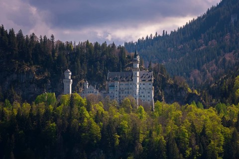 Neuschwanstein Castle rises majestically from the dense forest, Schwangau near Füssen, Ostallgäu