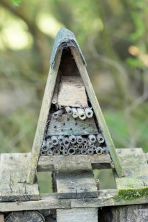 Wooden insect bug bee hotel house, England, United Kingdom