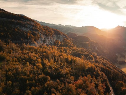 Sunlight floods over a hilly landscape surrounded by an autumnal forest, Meiringen, Switzerland