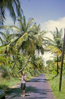Woman standing on tarmac road through palm tree plantation, east cost road, Tridid 1963